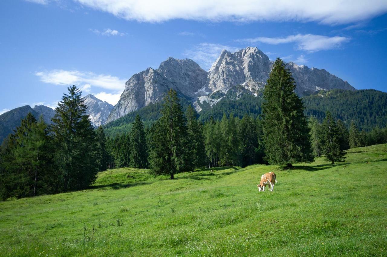 Gasthof Hoehenrain Grainau Bagian luar foto
